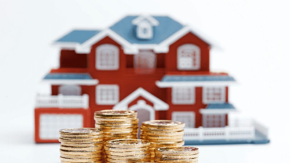SACCO Loan vs Bank Loan: Which Is Better for Buying Land in Kenya?|UsernameSacco